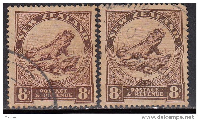 New Zealand Used 1936, 2 Diff., Wmk Type, 8d Tuatara Lizard, Reptiles - Used Stamps