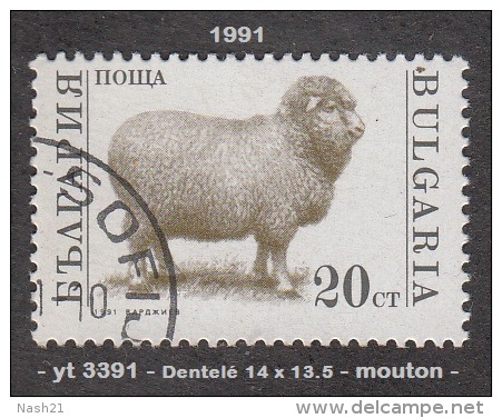 1991 - Europe - Timbre De Bulgarie - Mouton - 20 S. Gris Et Bistre-olive - - Hoftiere