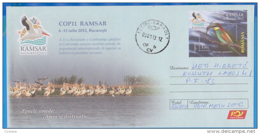 Bird, Birds, Pelicans Danube Delta Patrimony UNESCO Romania Postal Stationery Cover - Pelícanos