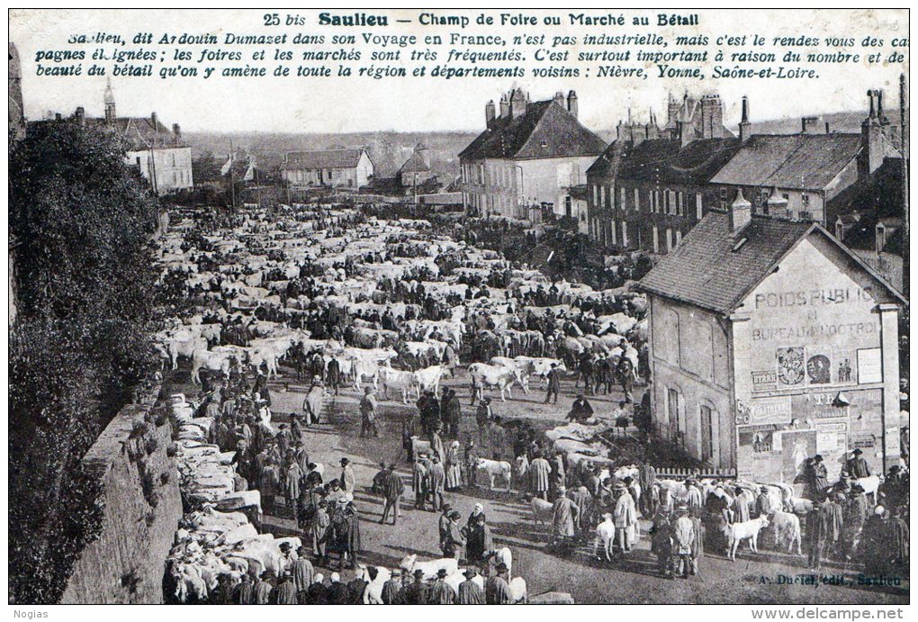 SAULIEU - LE CHAMP DE FOIRE OU LE MARCHE AU BETAIL - BELLE CARTE - SEPIA - TRES TRES ANIMEE -  TOP !!! - Fairs