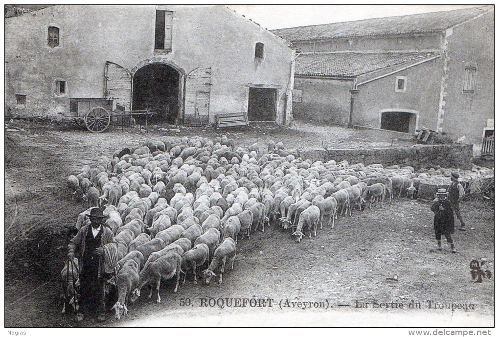 ROQUEFORT - LA SORTIE DU TROUPEAU - BELLE CARTE TRES TRES ANIMEE -  TOP !!! - Breeding