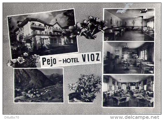 Pejo - Hote. Vioz - Trento - Formato Grande Viaggiata - Hotels & Restaurants