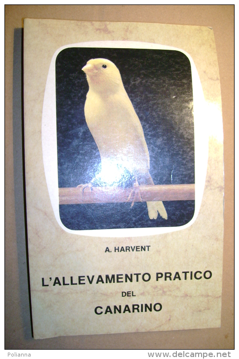 PBU/61 Harvent L´ALLEVAMENTO PRATICO Del CANARINO 1988 - Pets