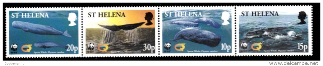 (007) St. Helena  WWF / Animals / Animaux / Tiere / Dieren / Whales / Baleines / Wale  ** / Mnh  Michel 852-55 - Isola Di Sant'Elena