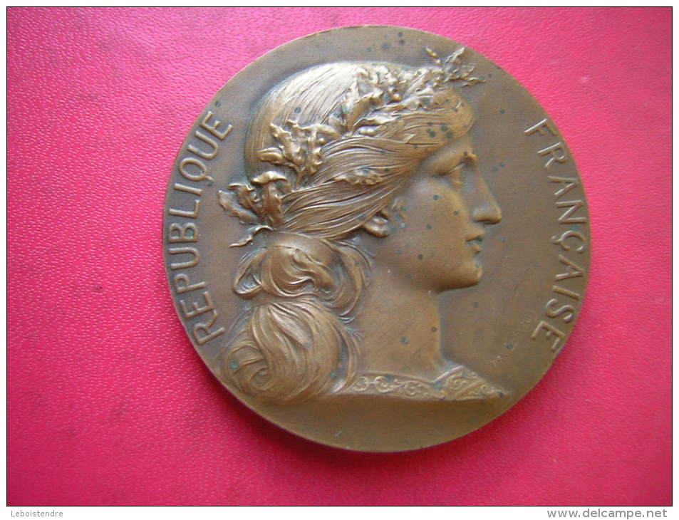 MEDAILLE BRONZE SIGNEE H DUBOIS  67 GRAMMES REPUBLIQUE FRANCAISE FEDERATION DE PECHE DU LOIRET - Professionnels / De Société