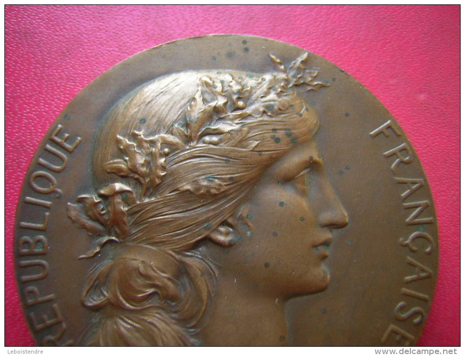 MEDAILLE BRONZE SIGNEE H DUBOIS  67 GRAMMES REPUBLIQUE FRANCAISE FEDERATION DE PECHE DU LOIRET - Professionnels / De Société