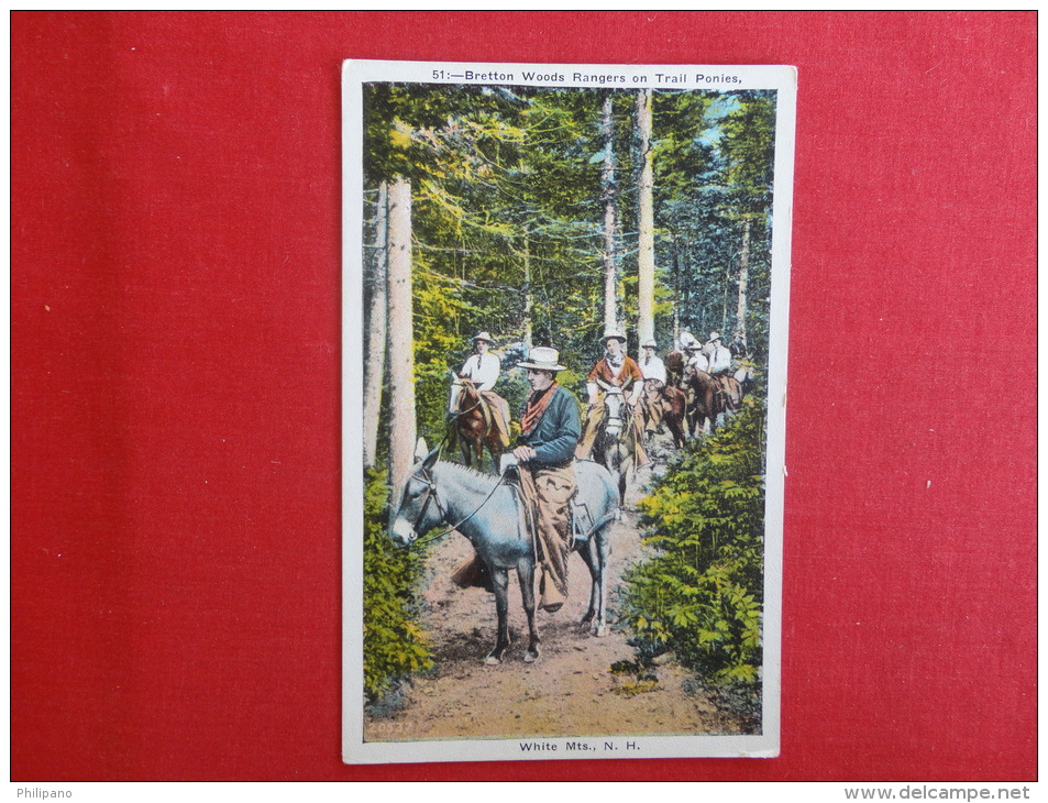 New Hampshire > White Mountains  Bretton Woods Rangers On Trail Ponies  Ca 1910 Not Mailed    --  Ref  1047 - White Mountains