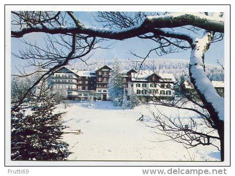 GERMANY - AK 164833 Bühl (Schwarzwald) - Plättig-Hotel 800 M - Bühl