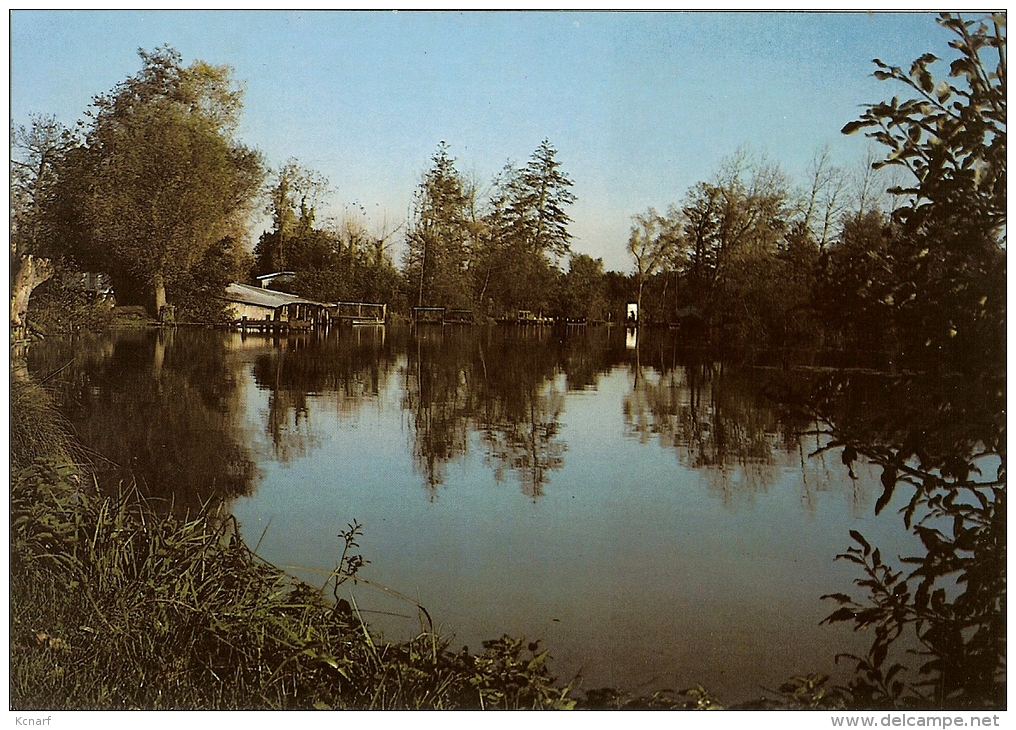 CP De La Vallée De La Haute Somme " Le Royaume Des Anguilles à ECLUSIER " . - Bray Sur Somme