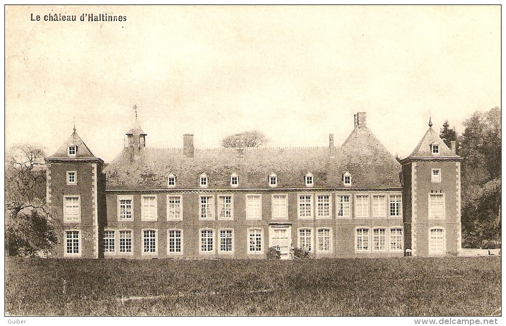 Le Chateau D 'haltinnes Edit.groyne Nameche 1911 - Gesves