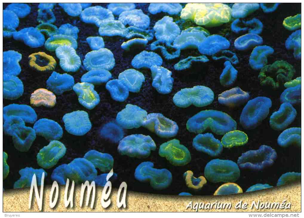 Entier Postal De 2004 Sur CP Avec Timbre "Armoiries De Nouméa" Et  Illust. "Nouméa : L'Aquarium" - Postal Stationery