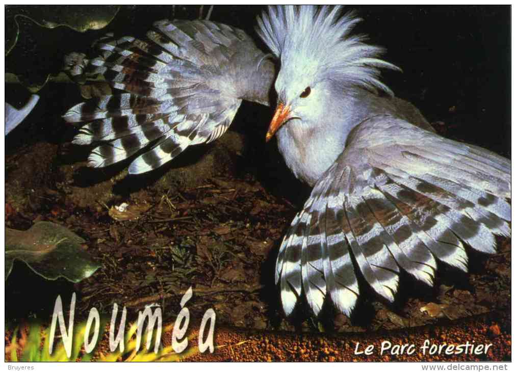 Entier Postal De 2004 Sur CP Avec Timbre "Armoiries De Nouméa" Et  Illust. "Nouméa : Le Parc Forestier" - Interi Postali