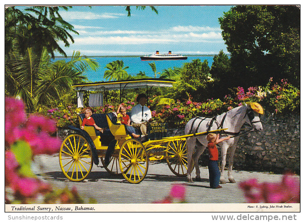 Horse And Buggy Traditional Surrey Nassau Bahamas - Altri & Non Classificati