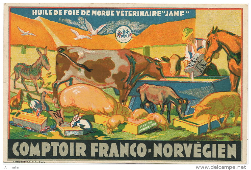 Pub Veterinaire Veterinary  Huile Foie Morue JAMF Comptoir Franco Norvegien Dunkerque 59 - Santé