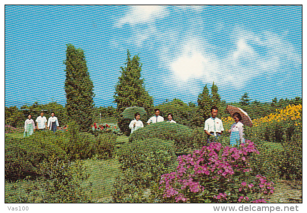 CPA  WONSAN- THE BOTANICAL GARDEN, PEOPLES WORKING - Corée Du Nord