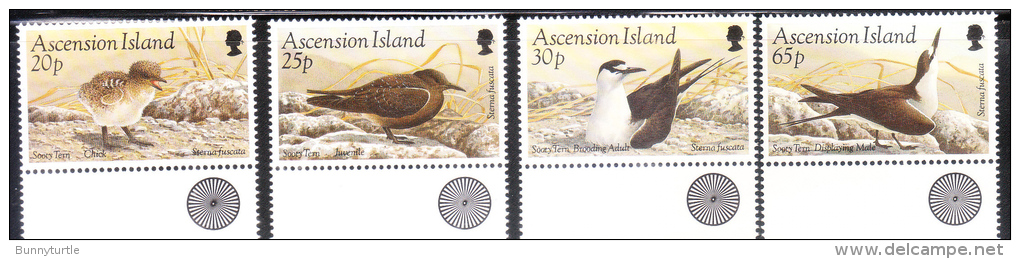 Ascension 1994 Bird Sooty Tern MNH - Ascensione