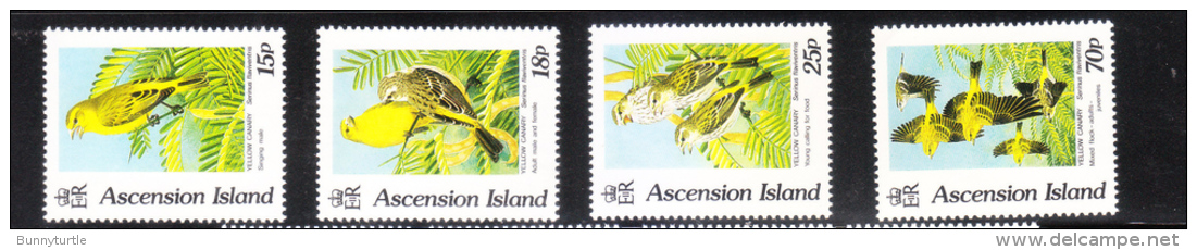 Ascension 1993 Birds Yellow Canary MNH - Ascension