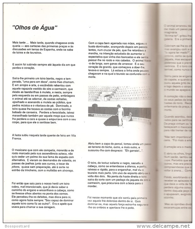 Vila Franca De Xira - Programa Das Festas Do Colete Encarnado De 1991, 40 Páginas. Lisboa (4 Scans) - Magazines