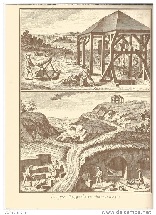 Affiche Planches D'encyclopédie 18e / Anatomie (squelette) / Métiers, Outils, Forge, Mine /  Histoire - Posters