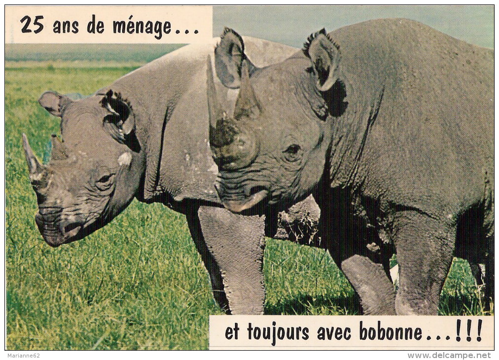 Rhinocéros - 25 Ans De Ménage... Et Toujours Avec Bobonne ... !!! - Rhinoceros, Rinoceronte - Editions Du Gabier SD704 - Rhinoceros