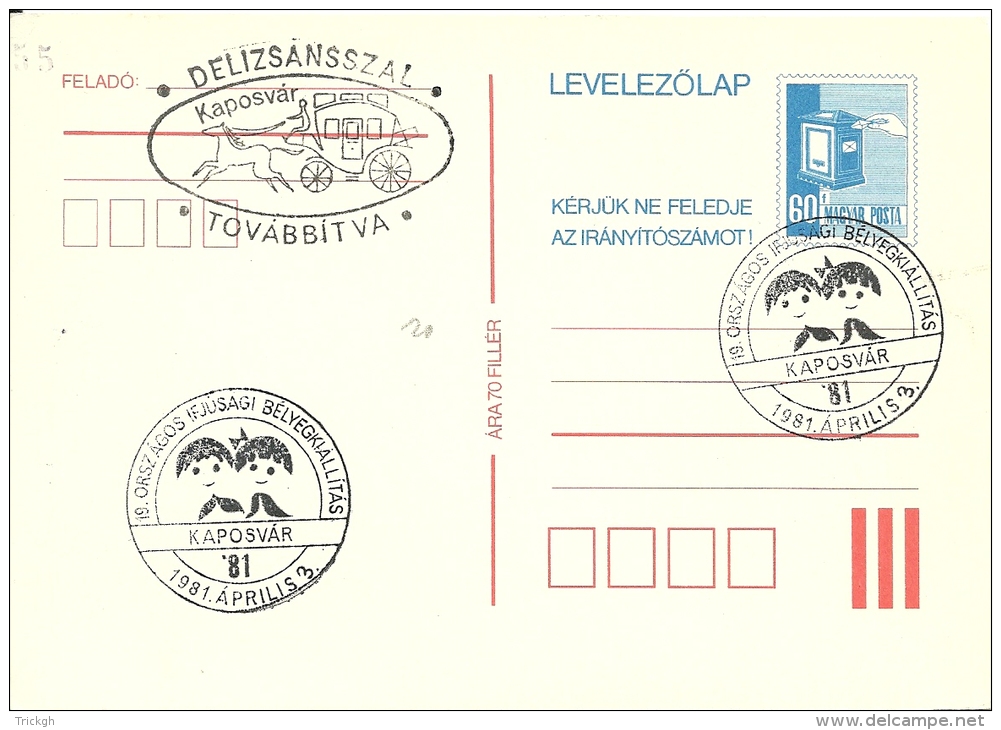 Magyar Kaposvar 1981 / Diligence - Postmark Collection