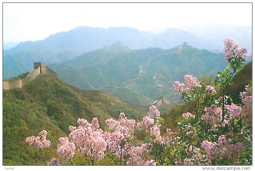 CPM - CHINA - The Lilacs Of The Great Wall (Beijing Post Office) - Chine