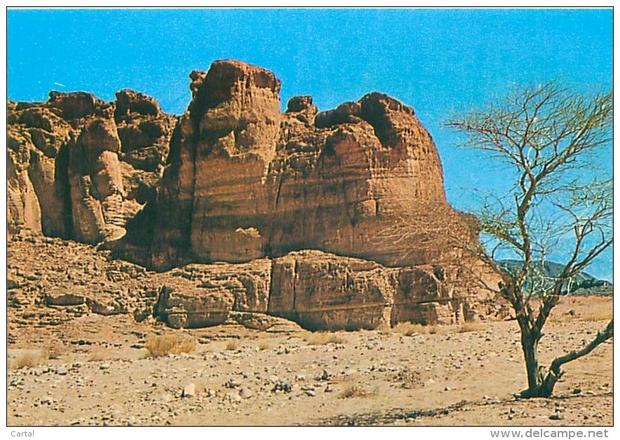 CPM - KING SOLOMON'S PILLARS NEAR EILAT (Palphot, 5913) - Israel