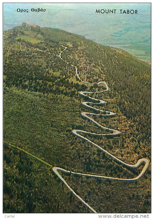 CPM - MOUNT TABOR - Birds Eye View (Ed. Palphot, 9264) - Israël