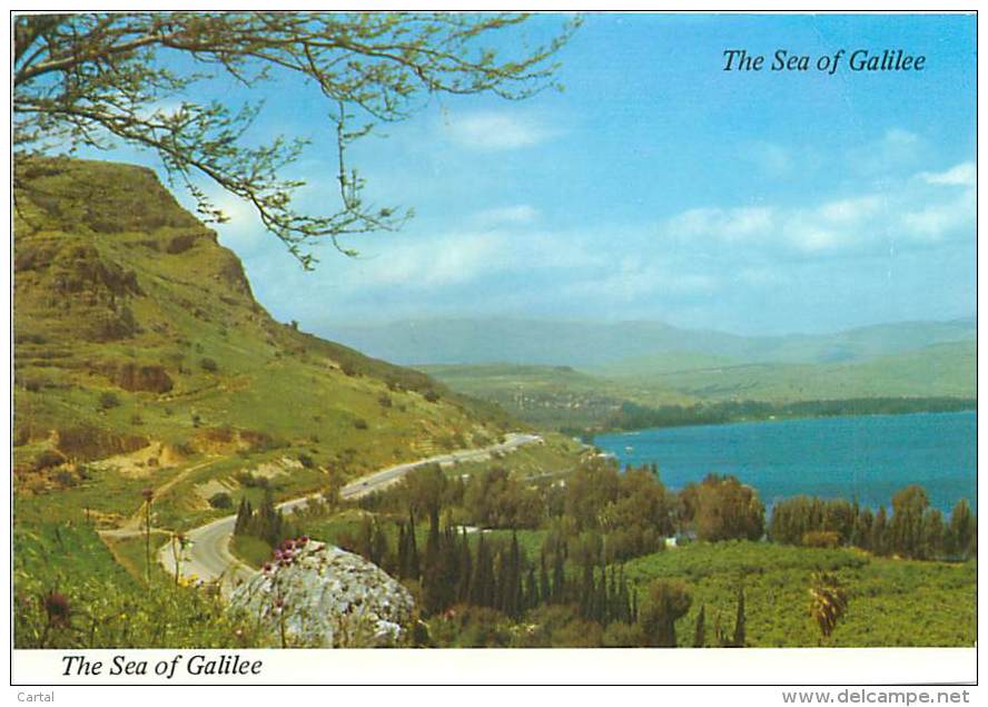 CPM - The Sea Of Galilee Near Magdala (Palphot, 3408) - Israel