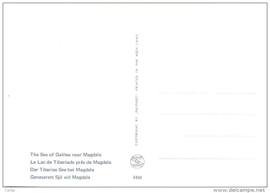 CPM - The Sea Of Galilee Near Magdala (Palphot, 3408) - Israel