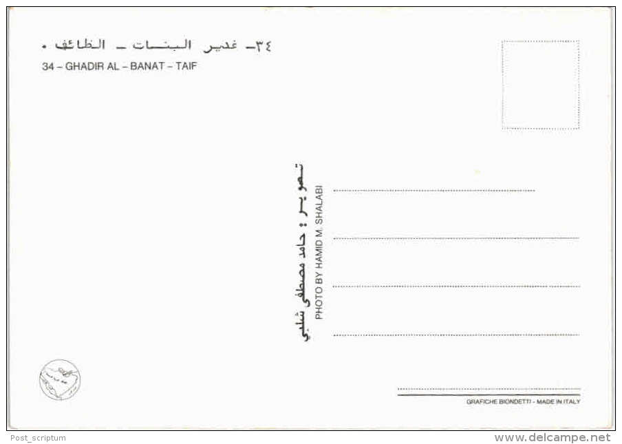 Asie - Arabie Saoudite - Ghadir Al - Banat - Taif - Arabia Saudita