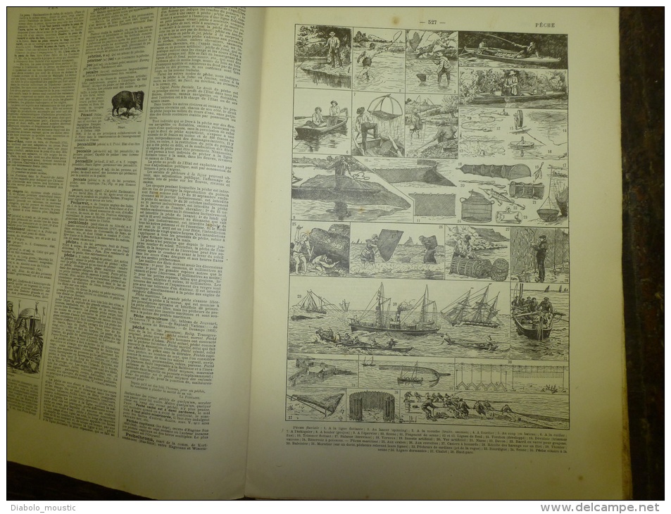 10 Fascicules Du Larousse Illustré Continuant P Et Continuant Sur P..: PÊCHES,PERSE, PLANTES,PORCELAINE..etc.. ......... - Dictionaries