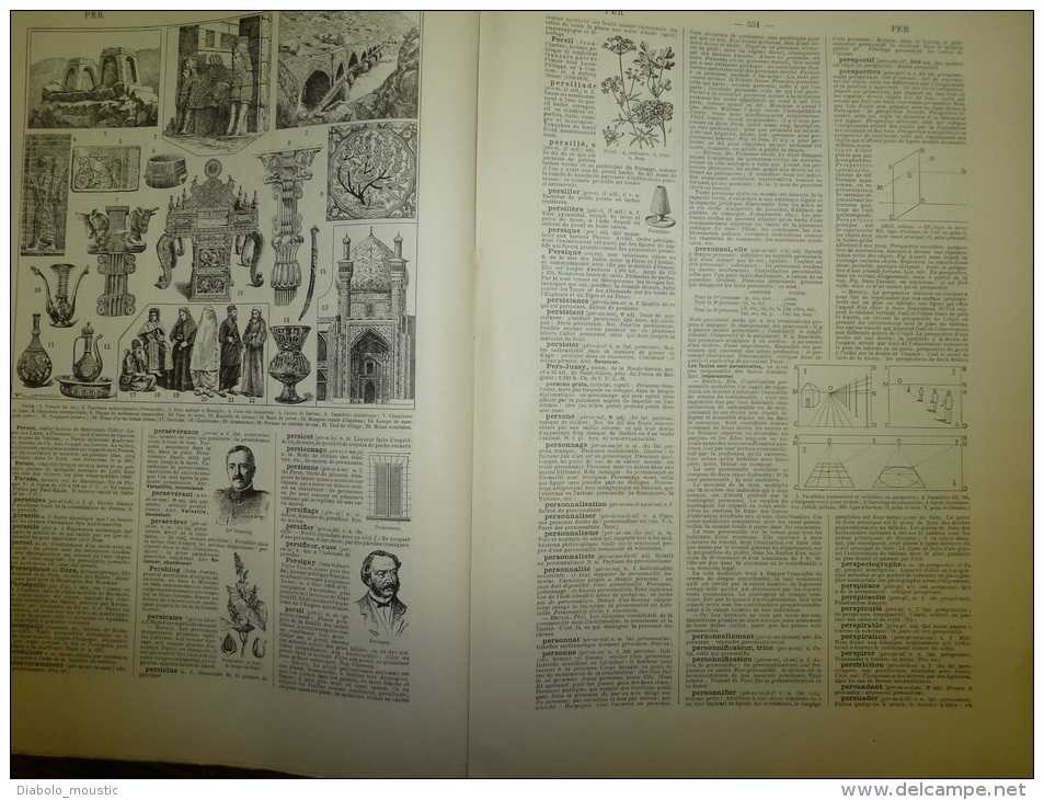 10 Fascicules Du Larousse Illustré Continuant P Et Continuant Sur P..: PÊCHES,PERSE, PLANTES,PORCELAINE..etc.. ......... - Dictionnaires