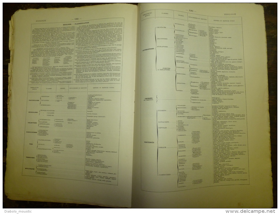 10 fascicules du Larousse illustré débutant  T et finissant sur Z..:TAILLE vigne,TELEGRAPHE, TELEPHONE,TIR,TISSAGE..et c