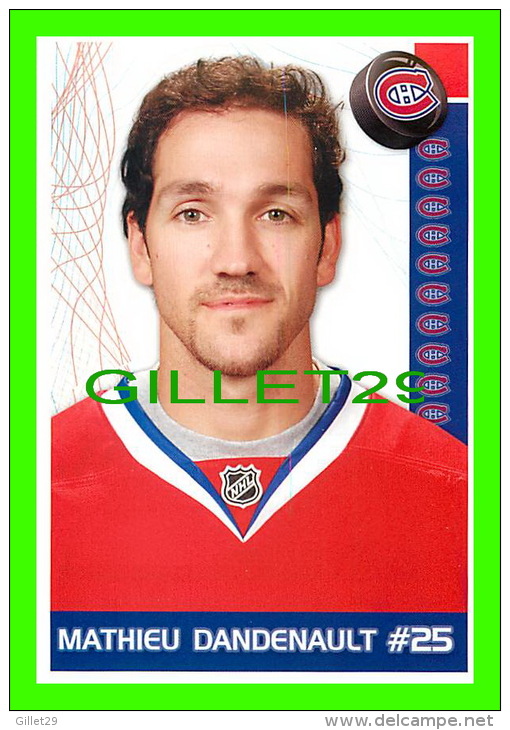 HOCKEY - MATHIEU DANDENAULT,  No 25, CANADIEN DE MONTRÉAL - PHOTOS ET FICHES, 2003-2008 - - Autres & Non Classés