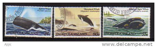 ILE NORFOLK. Le Grand Cachalot,La Baleine Franche Australe,La Baleine à Bosse. Yv.# 282/4. Oblitérés. Cote 6.50 € - Baleines