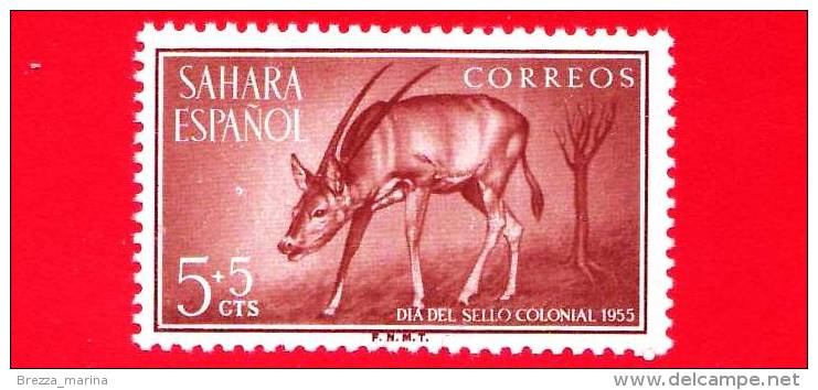 SAHARA SPAGNOLO - NUOVO - 1955 - Giornata Del Francobollo - Antilope - Scimitar-horned Oryx - 5+5 - Sahara Español