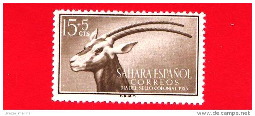 SAHARA SPAGNOLO - NUOVO - 1955 - Giornata Del Francobollo - Antilope - Scimitar-horned Oryx - 15+5 - Sahara Espagnol