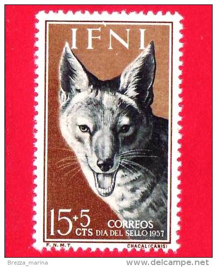 SPAGNA - Colonie - IFNI - NUOVO - 1957 - Giornata Del Francobollo - Sciacallo - Chacal - 15+5 -  Tracce Linguella - Ifni