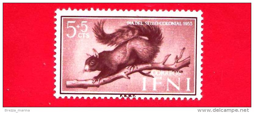 SPAGNA - Colonie - IFNI - NUOVO - 1955 - Giornata Del Francobollo - Scoiattolo - Squirrel (Sciurus Pauli) - 5+5 - Ifni