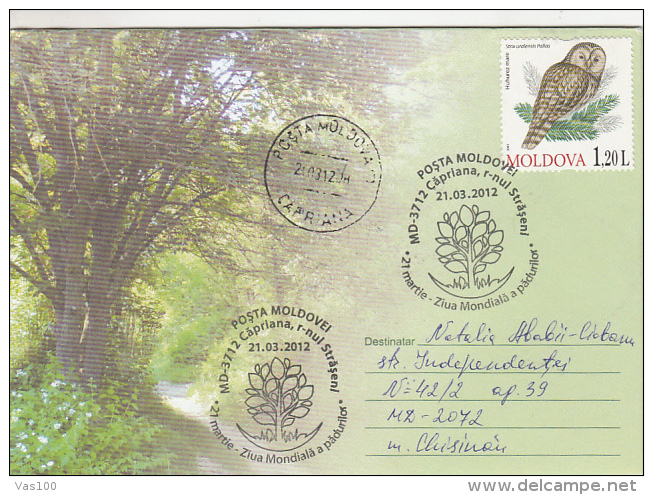 BIRDS, OWL, FOREST, COVER  STATIONERY, ENTIER POSTAL, 2012, MOLDOVA - Hiboux & Chouettes