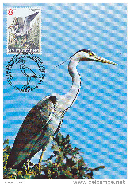 D13516 CARTE MAXIMUM CARD TRIPLE 1988 BULGARIA - HERON ARDEA CP ORIGINAL - Cranes And Other Gruiformes