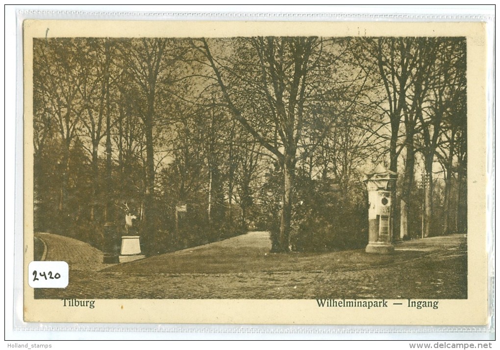 TILBURG * WILHELMINAPARK * ANSICHTKAART * CPA * GELOPEN In 1925 Van TILBURG Naar ROTTERDAM (2420) - Tilburg