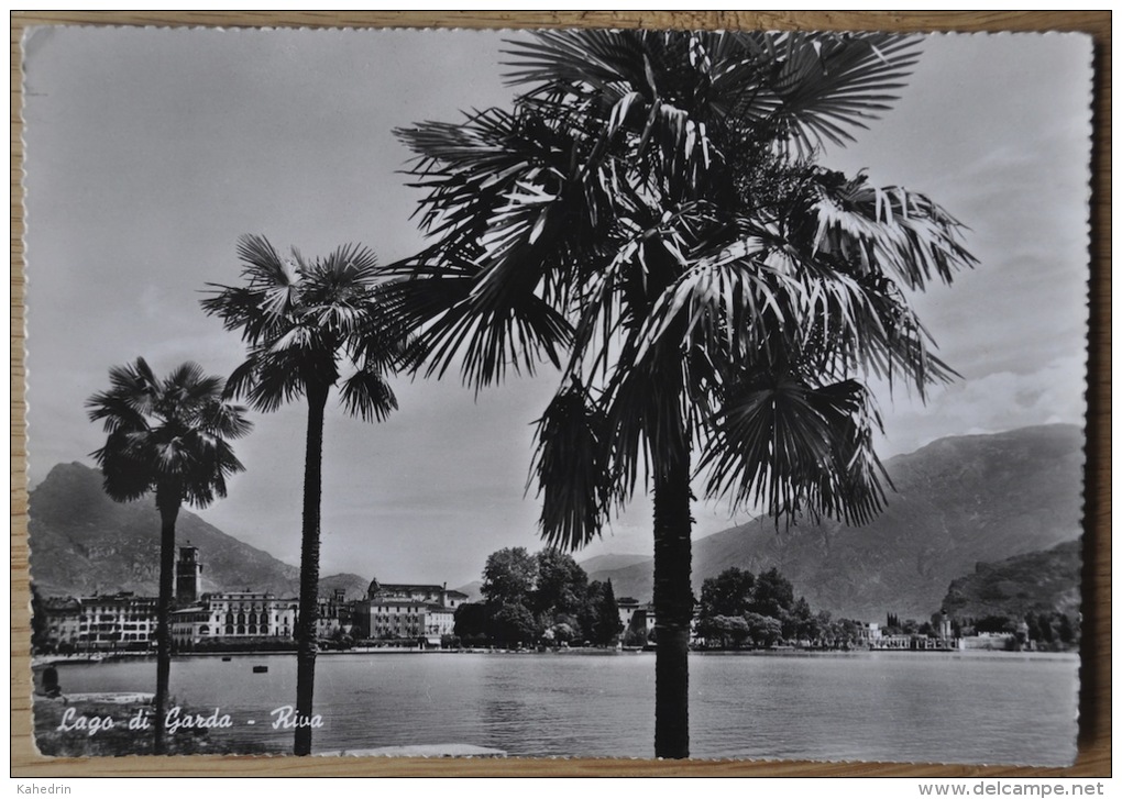 Italia - Lago Di Garda (Garda Lake) - Riva - Vera Fotografia - Andere & Zonder Classificatie