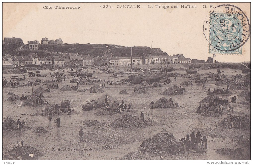 ¤¤  -   1224   -   CANCALE   -   Le Triage Des Huitres   -   Ostréïculture    -  ¤¤ - Cancale