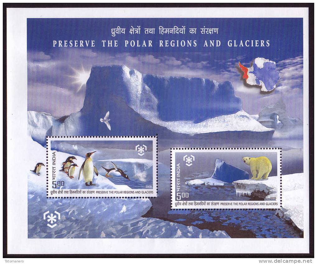 INDIA 2009, IPY International Polar Year - Preserve The Polar Regions And Glaciers Block** - Schützen Wir Die Polarregionen Und Gletscher