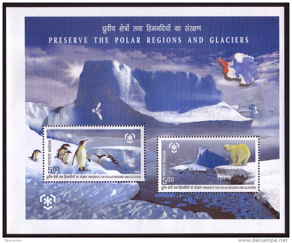 INDIA 2009, IPY International Polar Year - Preserve The Polar Regions And Glaciers Block** - Preservare Le Regioni Polari E Ghiacciai