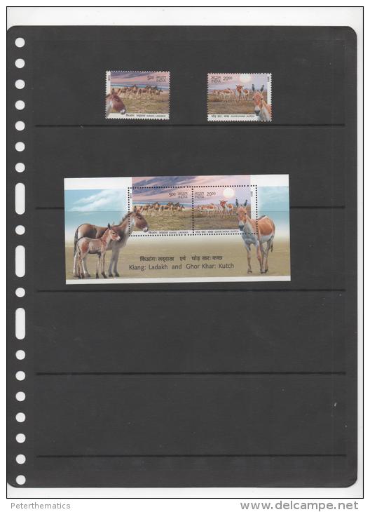 INDIA ,2013,  MNH, WILD DONKEYS, 2v+S/SHEET. - Donkeys