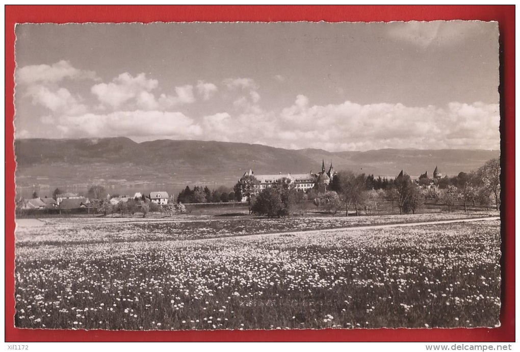 Z0270 Estavayer-le-lac,  Vue Générale Et Institut Du Sacré-Coeur Champs En Fleurs. Non Circulé. - Estavayer