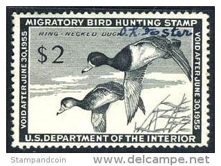 US RW21 Used Duck Stamp From 1954 - Duck Stamps
